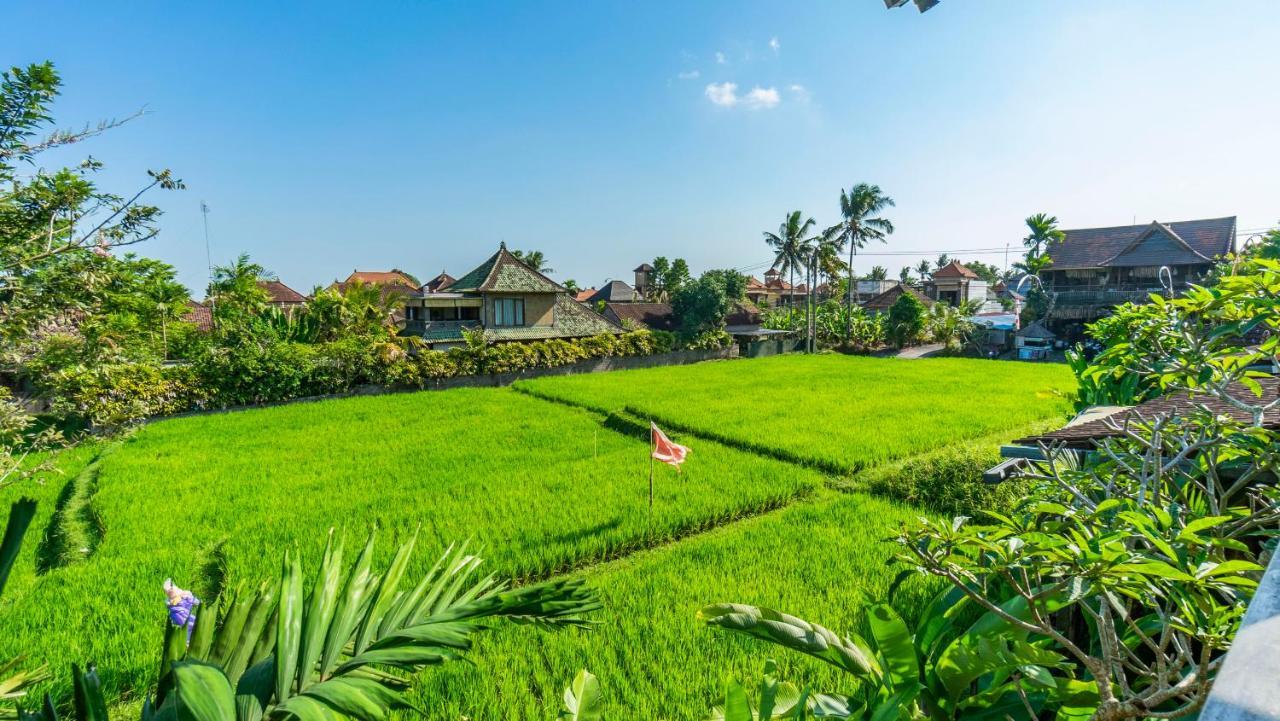 Gayatri Retreat Ubud エクステリア 写真